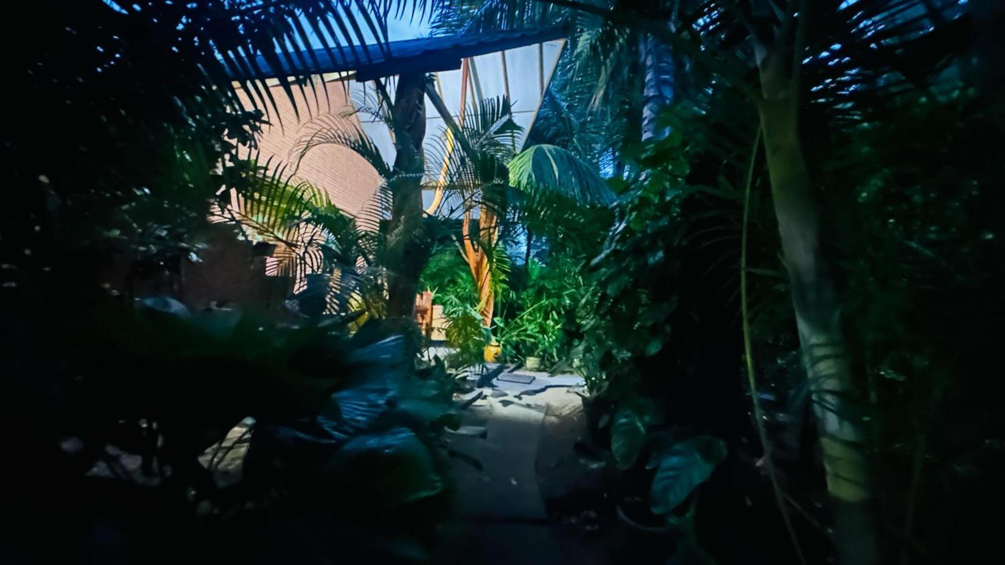 Ama Eco Lodge Σιγκιρίγια Εξωτερικό φωτογραφία