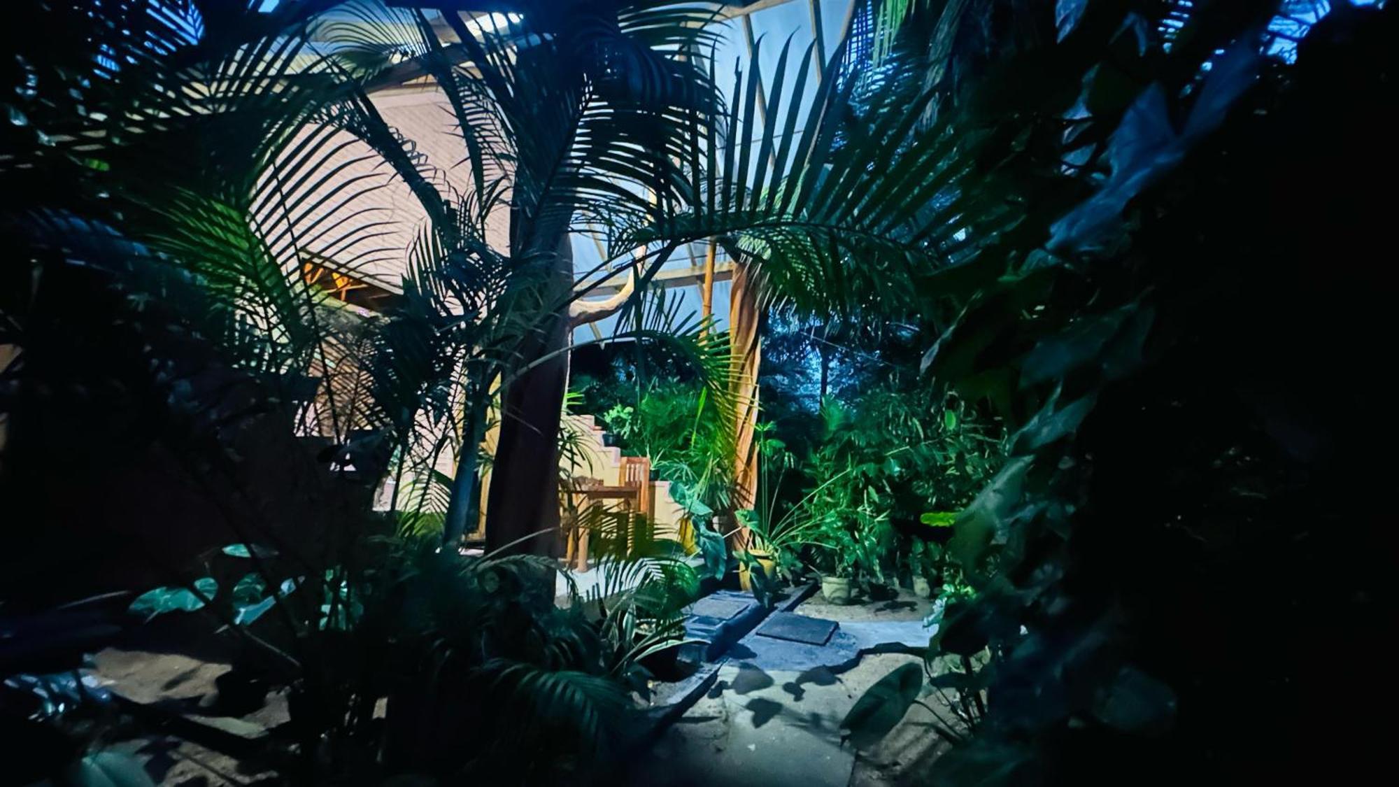 Ama Eco Lodge Σιγκιρίγια Εξωτερικό φωτογραφία