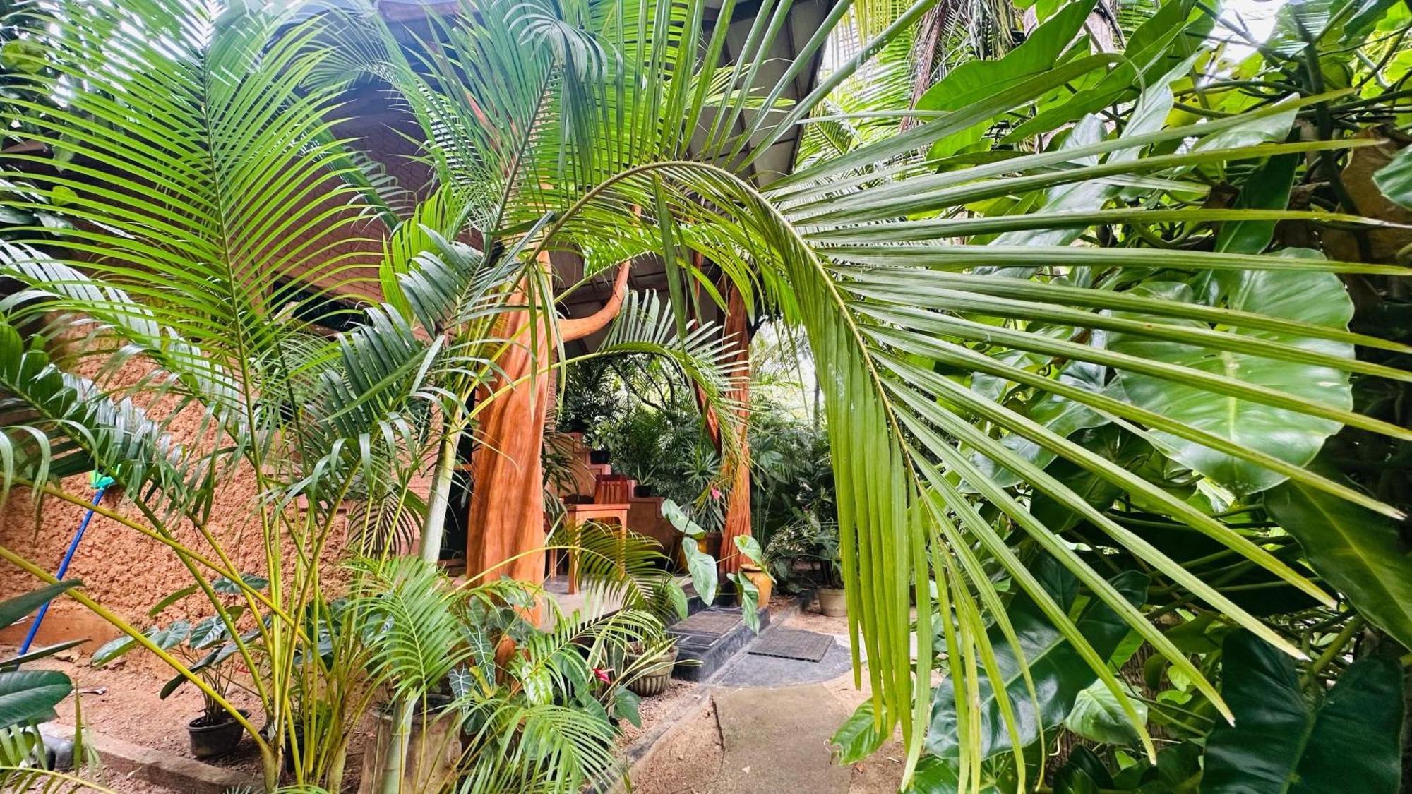 Ama Eco Lodge Σιγκιρίγια Εξωτερικό φωτογραφία